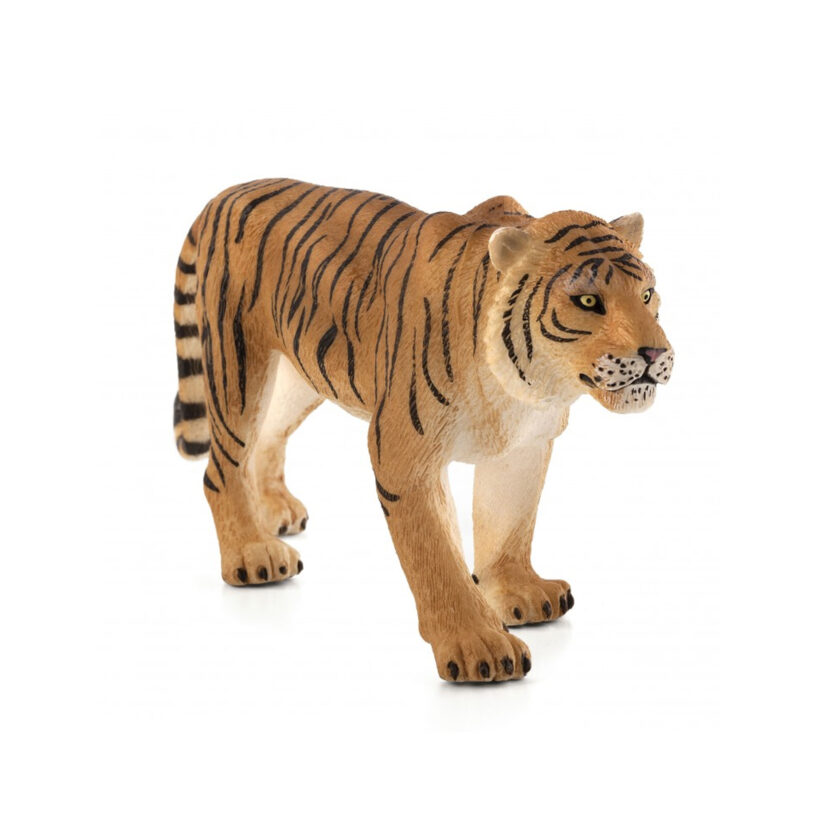 Mojo-Bengal Tiger