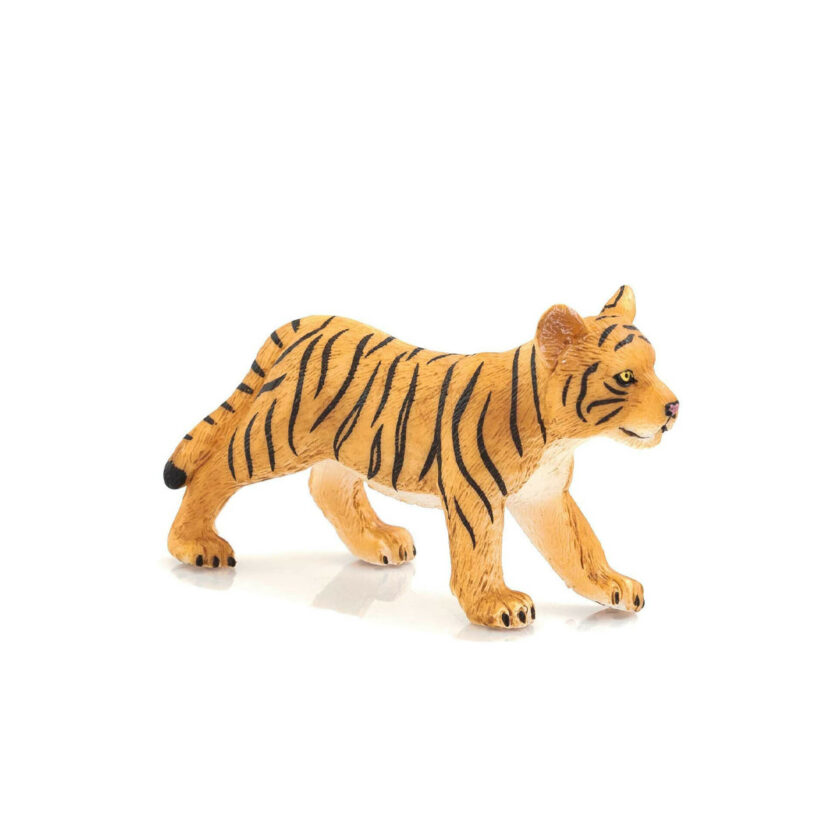Mojo-Bengal Tiger Cub Standing