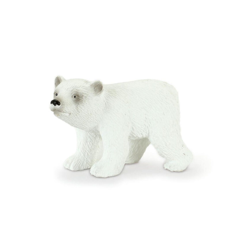 Mojo-Polar Bear Cub Walking