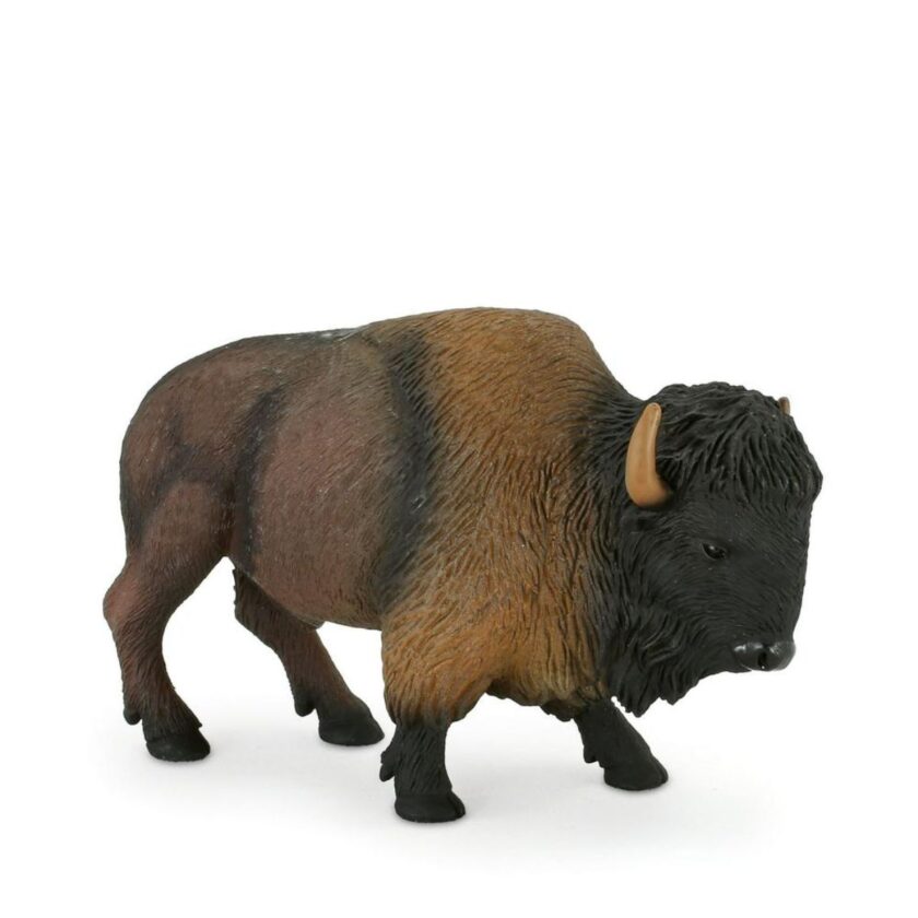 Mojo-American Bison Buffalo