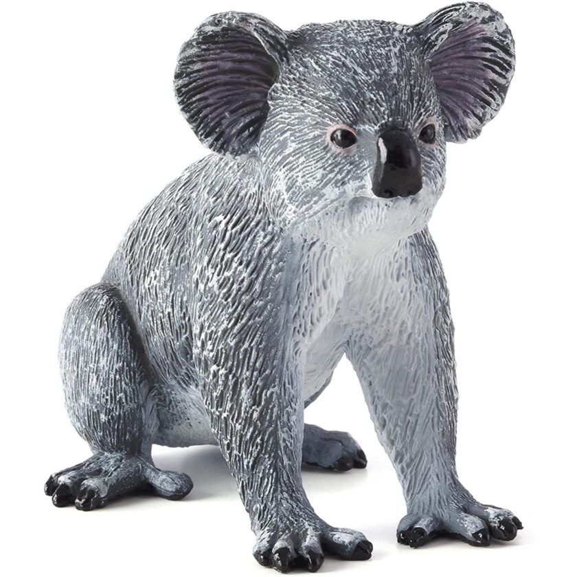 Mojo-Koala Bear