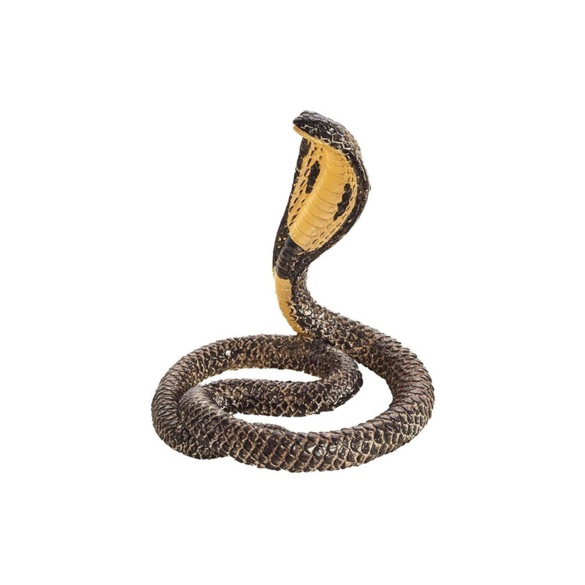 Mojo-King Cobra