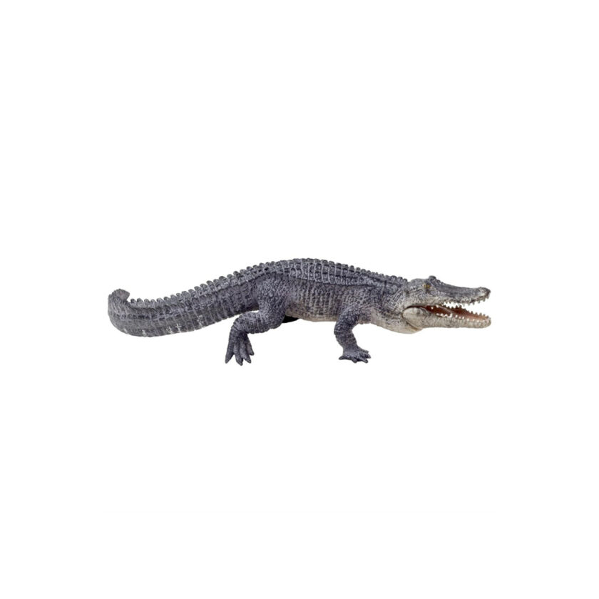 Mojo-Alligator With Moving Jaw