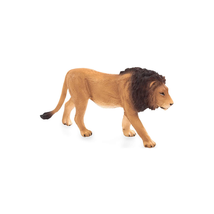 Mojo-Male Lion