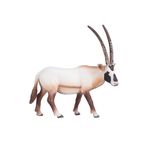 Mojo-Arabian Oryx