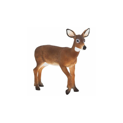 Mojo-White Tailed Deer Doe