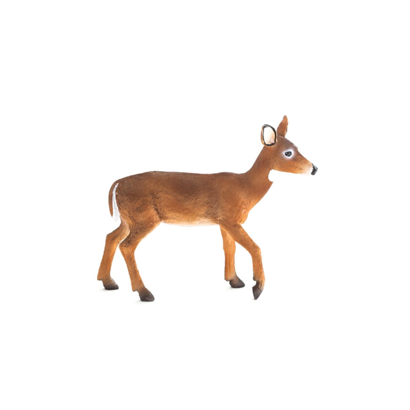 Mojo-White Tailed Deer Doe