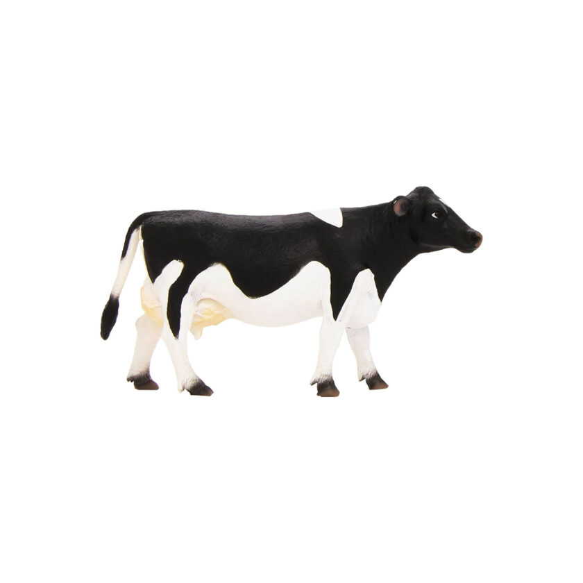 Mojo-Holstein Cow