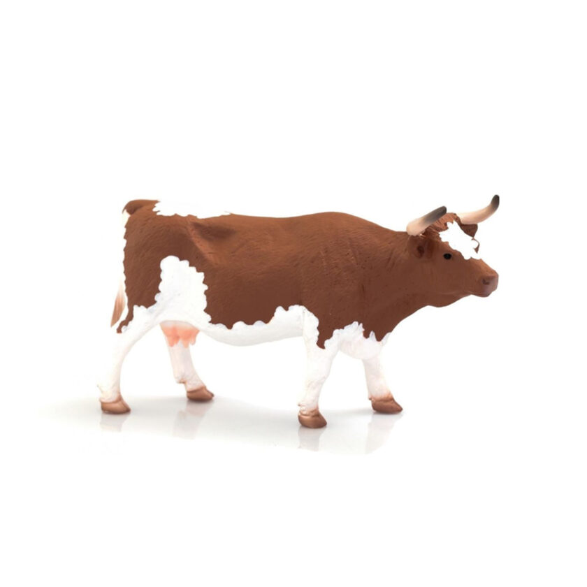 Mojo-Simmental Cow