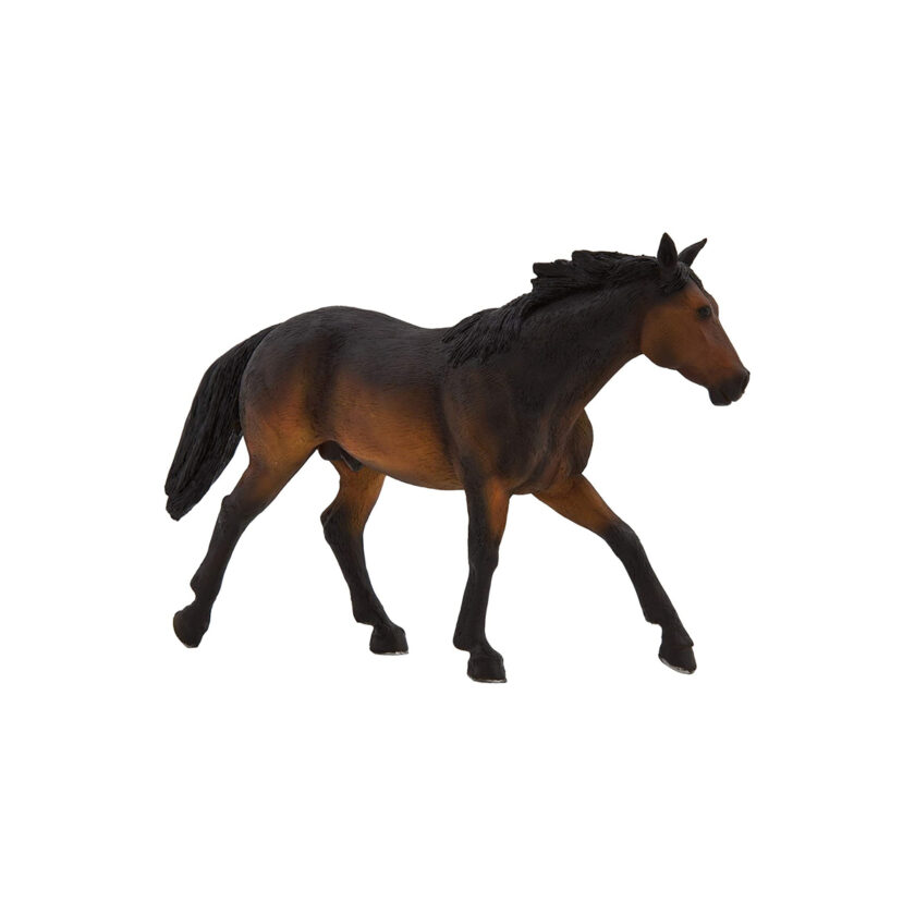 Mojo-Quarter Horse Sooty Bay