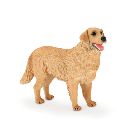 Mojo-Golden Retriever