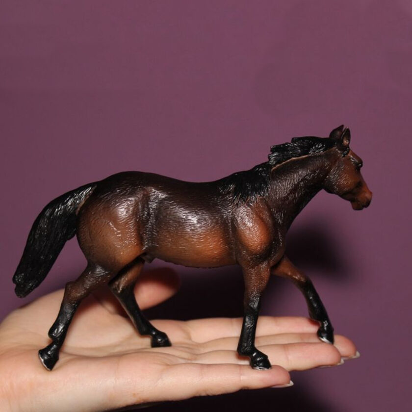 Mojo-Quarter Horse Sooty Bay
