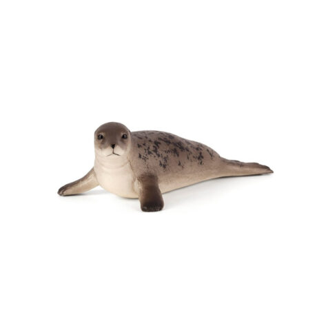 Mojo-Grey Seal