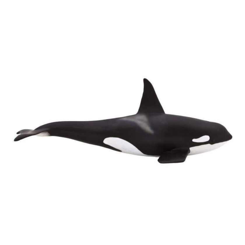 Mojo-Orca Male