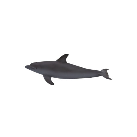 Mojo-Bottlenose Dolphin