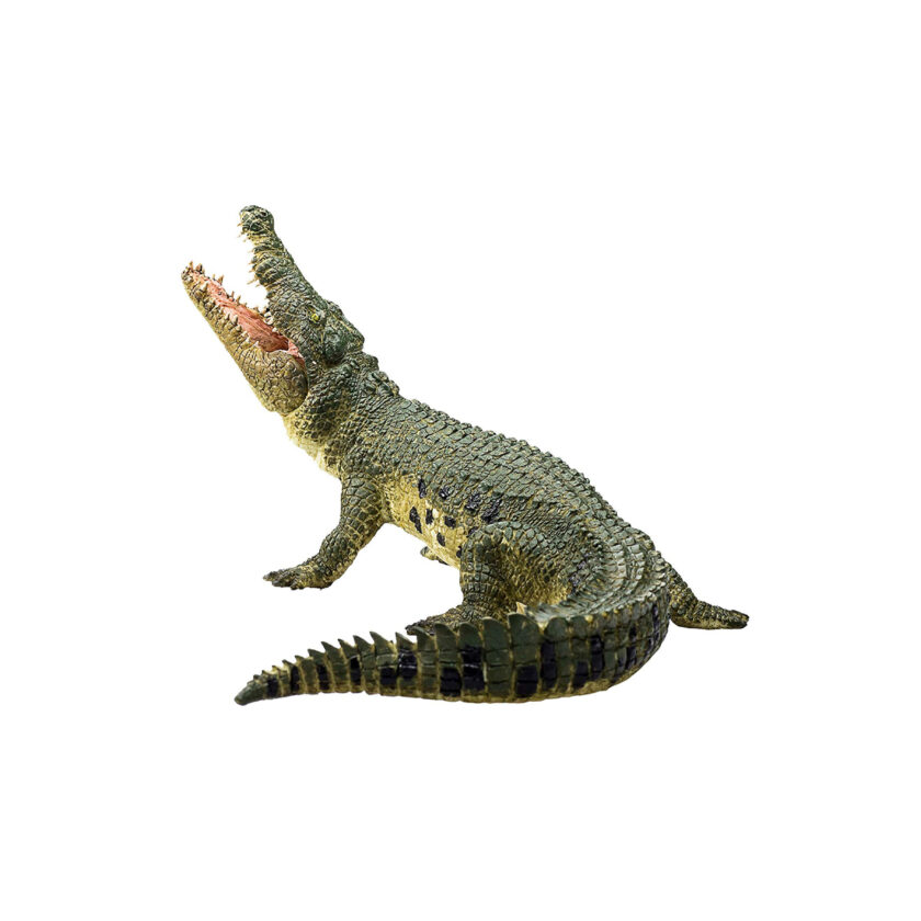 Mojo-Crocodile With Articulated Jaw
