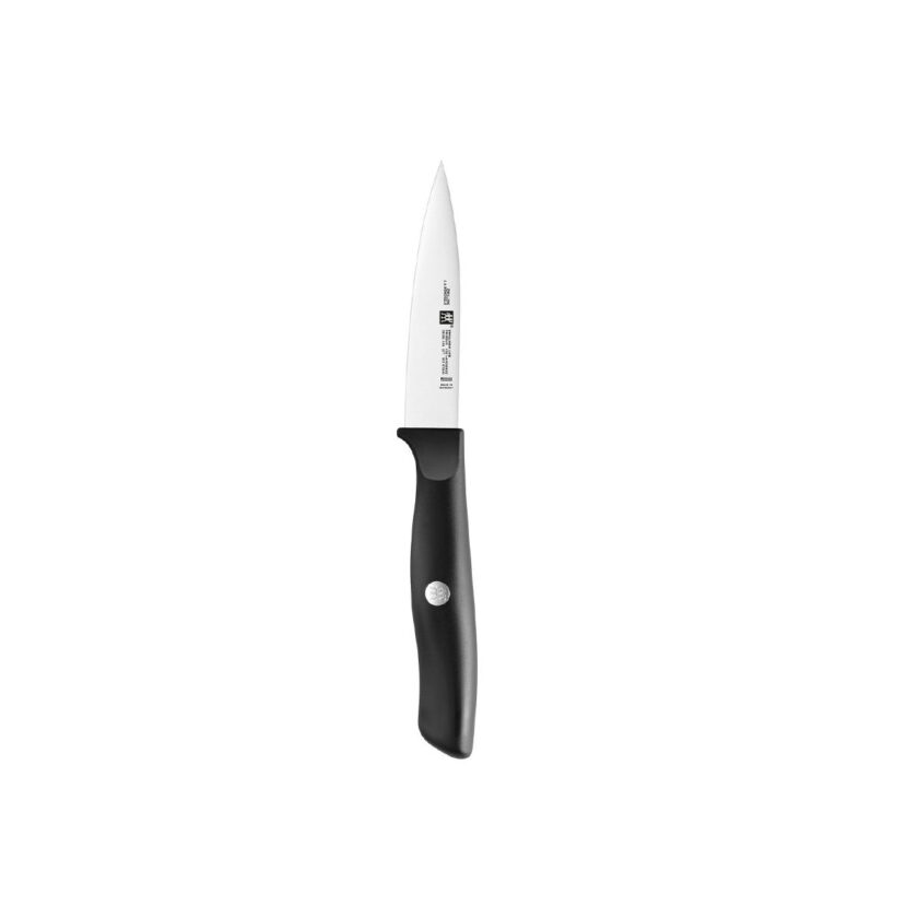 Zwilling Life Paring Knife With 10 CM Blade