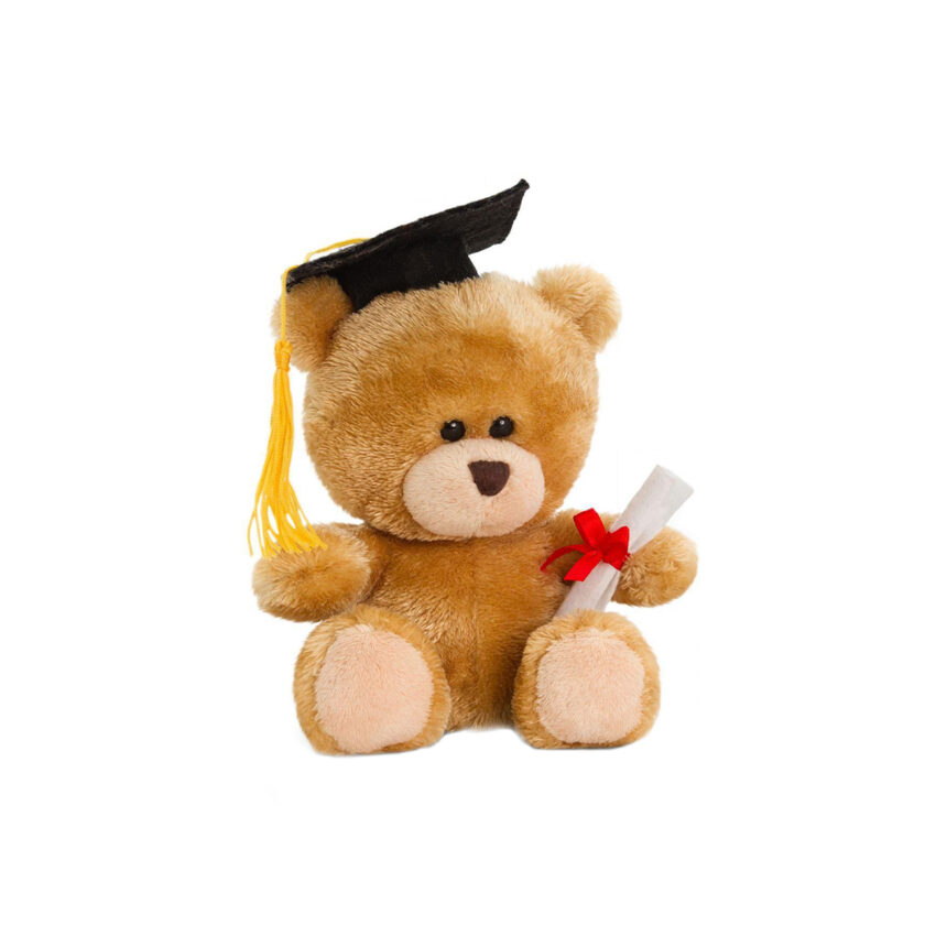 Keel Toys-Pipp The Bear Graduation 14 CM