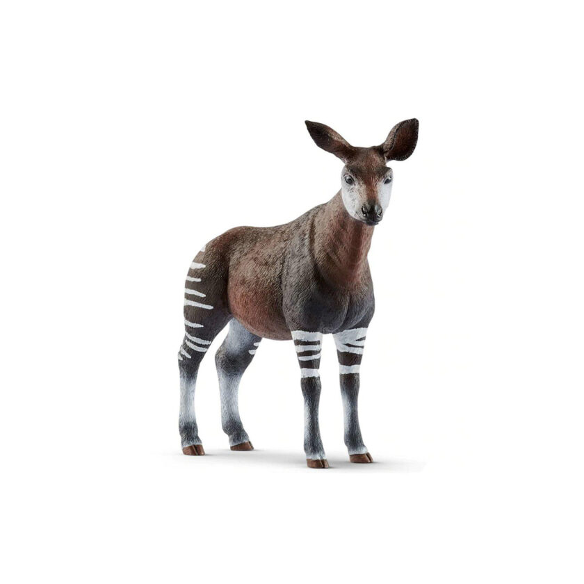 Schleich-Wild Life Okapi 11x10.4 CM