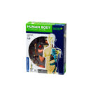 ადამიანის სხეულის ანატომიური მოდელი 1:6 Nature Discovery Thames & Kosmos