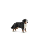 ძაღლი ბერნული ზენენჰუნდი მდედრობითი 8 სმ Farm Life Schleich
