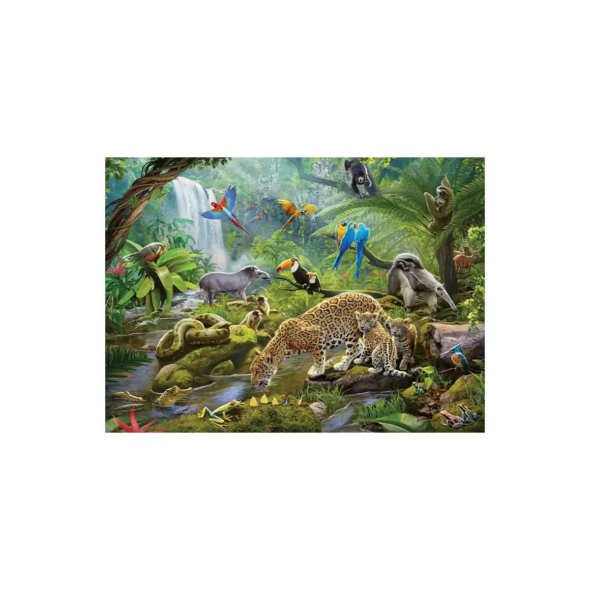 ფაზლი 60 ნაწილით Rainforest Animals Ravensburger - Image 2