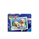 გასაფერადებელი ციფრებით Cute Puppies CreArt Ravensburger
