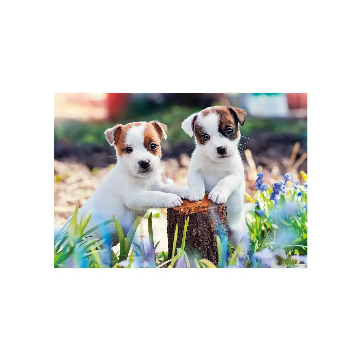 ფაზლი 2x12 ნაწილით Small Fur Balls Ravensburger - Image 2