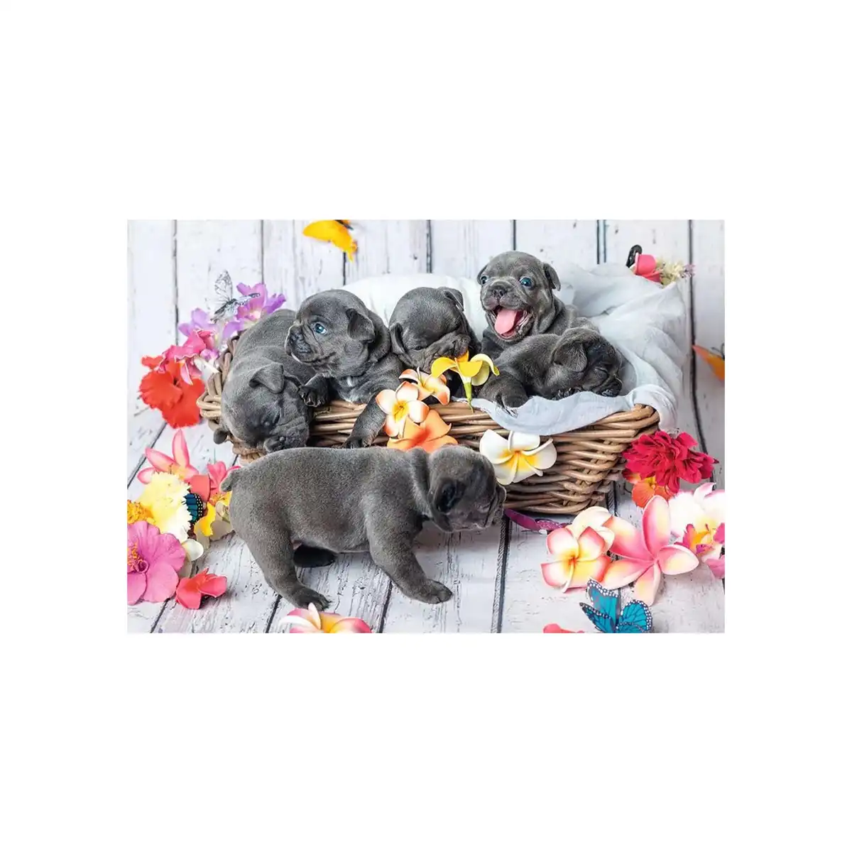 ფაზლი 2x12 ნაწილით Small Fur Balls Ravensburger - Image 3