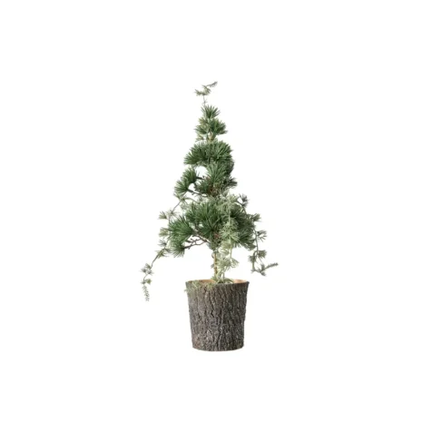Boltze Decorative Christmas Tree 40x15 CM