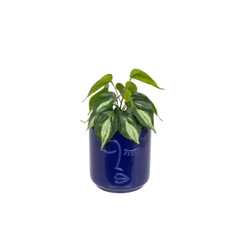 Atmosphera Decorative Plant With Pot 30x16.5 CM