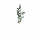 დეკორატიული მცენარე ევკალიპტი 91 სმ Atmosphera