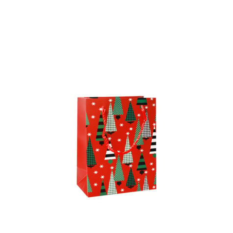 Super Christmas Gift Bag 23x18x10 CM