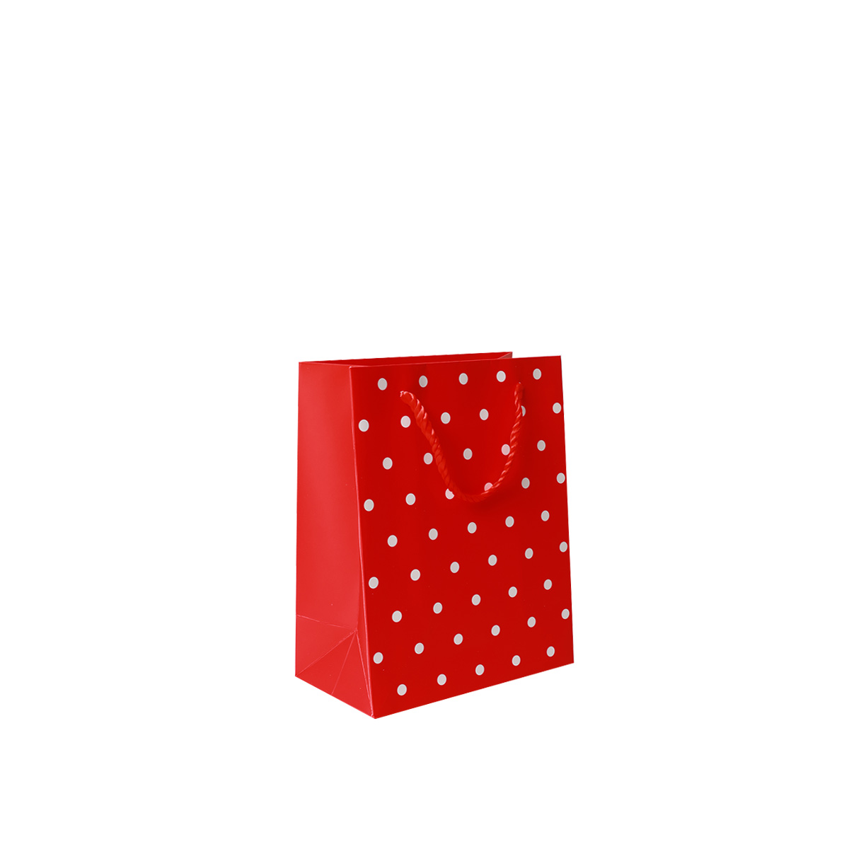 Super Gift Bag 23x18x10 CM