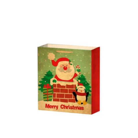 Super Christmas Gift Bag With Santa And Penguin 19x15x6 CM