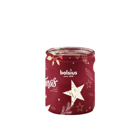 სანთელი შტოშის სურნელით, მინის ქილაში Cranberry Merry Moments True Glow Bolsius