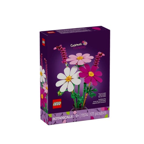 კუბიკების ნაკრები 171 ნაწილი Cosmos Flowers Botanicals Lego 11514