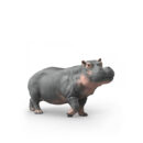 ჰიპოპოტამი 24x10x9 სმ Wild Life Schleich