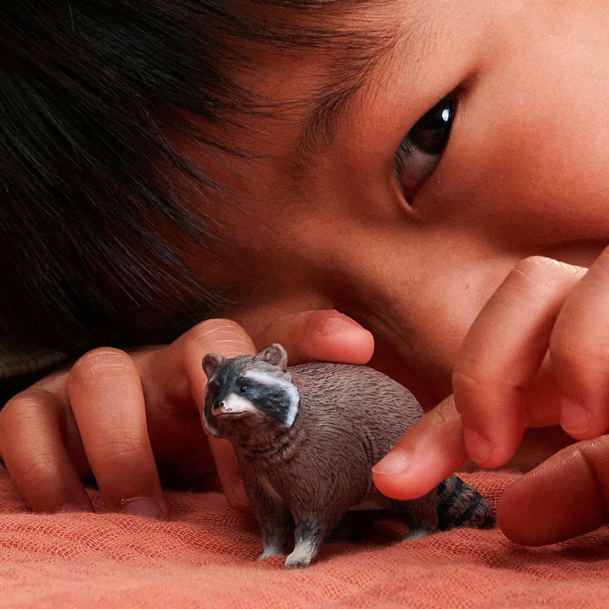 ენოტი 7x4x3 სმ Wild Life Schleich - Image 5