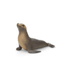 ზღვის ლომი 11x7x6 სმ Wild Life Schleich