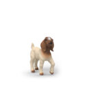 თხა 5x4x2.5 სმ Farm World Schleich