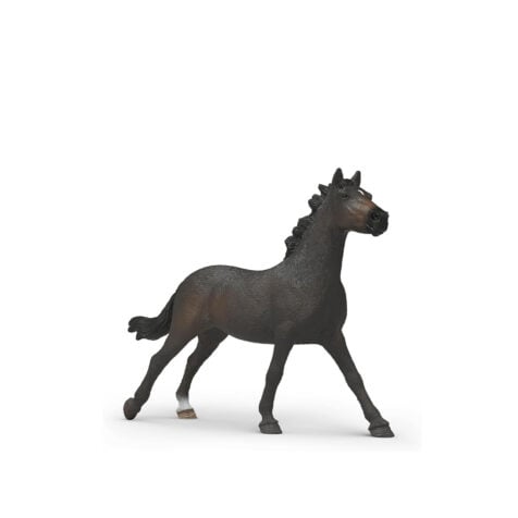 ცხენი 14x11x3.6 სმ Horse Club Schleich