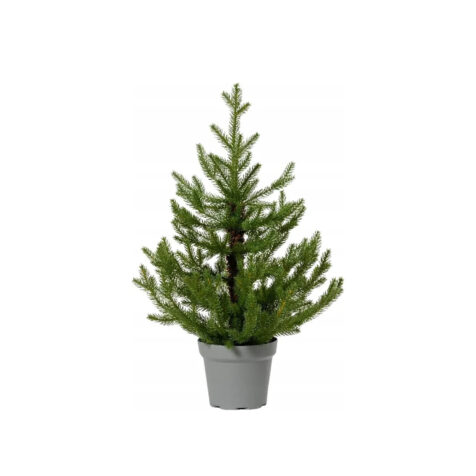 Kaemingk Norway Christmas Tree Decorative 45 CM
