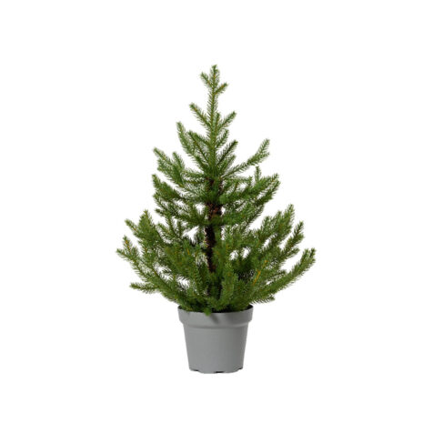 Kaemingk Norway Christmas Tree Decorative 75 CM